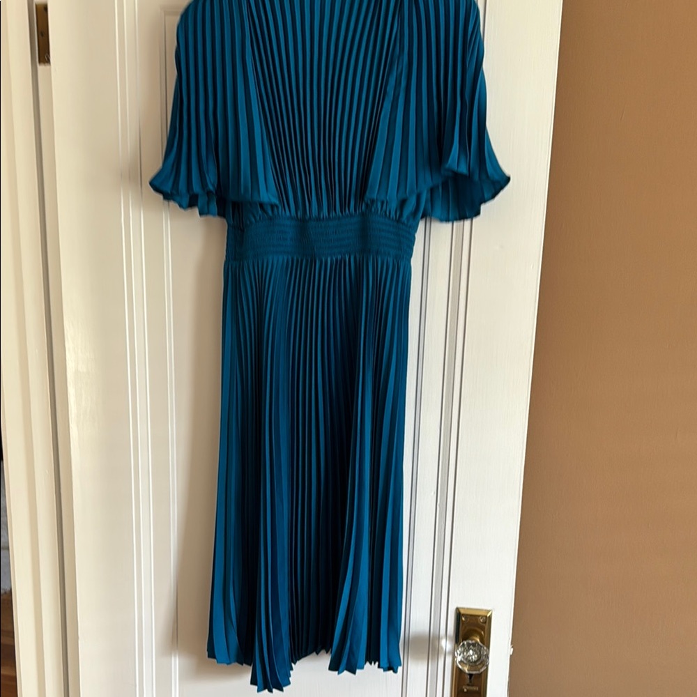Express Mykonos Pleated Dress View 5